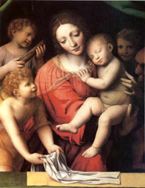 Bernadino Luini The Virgin Carrying the Sleeping Child with Three Angels (mk05) china oil painting image